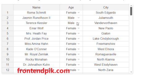 Dynamic Spreadsheet-like Data Grid - jExcel